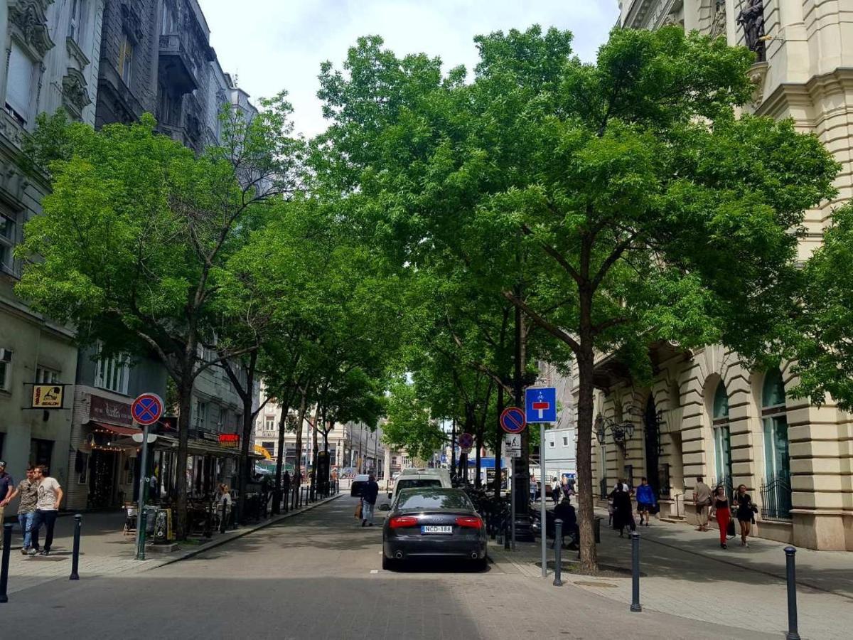 Like Studio City Centrum, Wifi, Terrace بودابست المظهر الخارجي الصورة